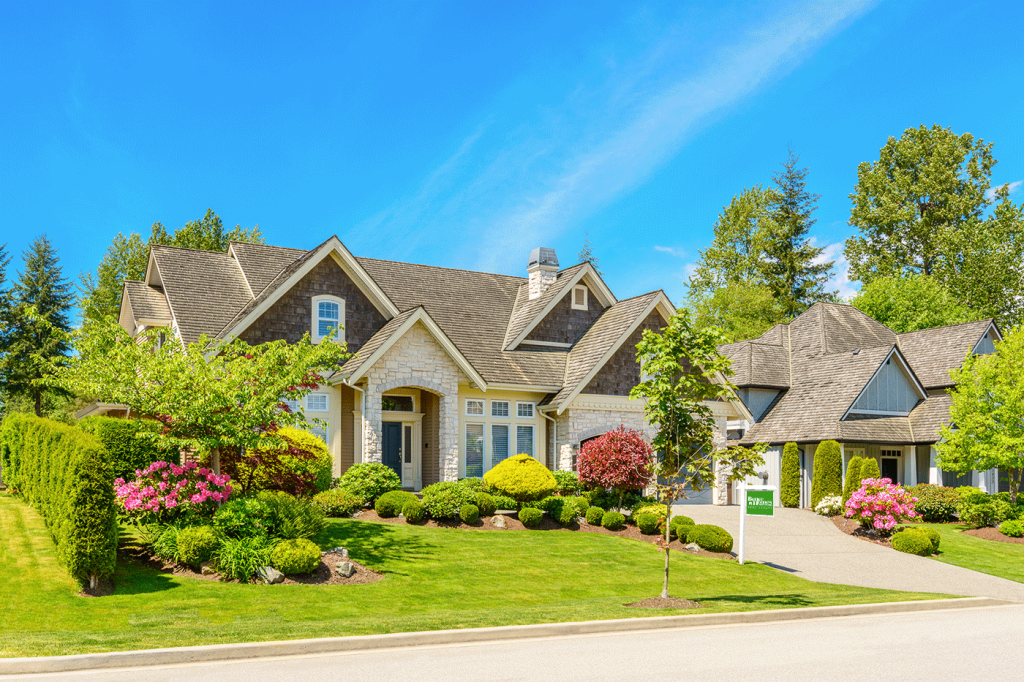 Buy Houses Delivers Speed and Results
