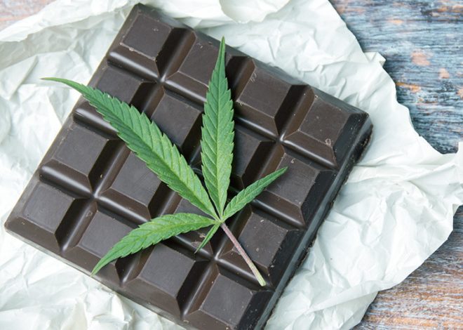 Comfort-Focused Relaxation Delivered Through Delta-9 Chocolate Bars Daily